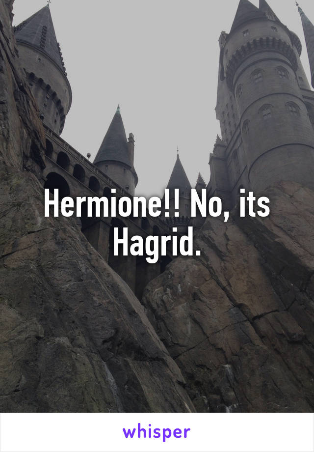 Hermione!! No, its Hagrid.
