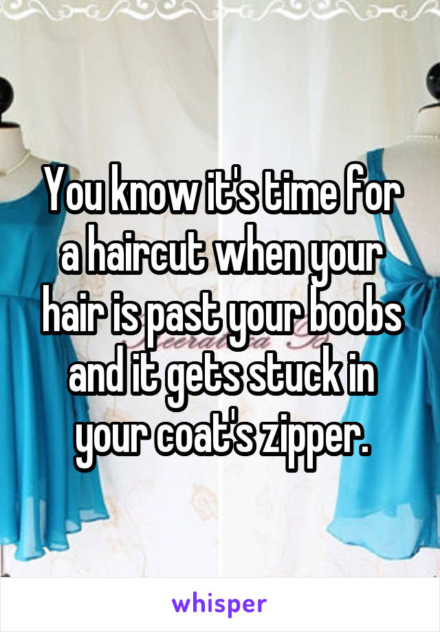 You know it's time for a haircut when your hair is past your boobs and it gets stuck in your coat's zipper.