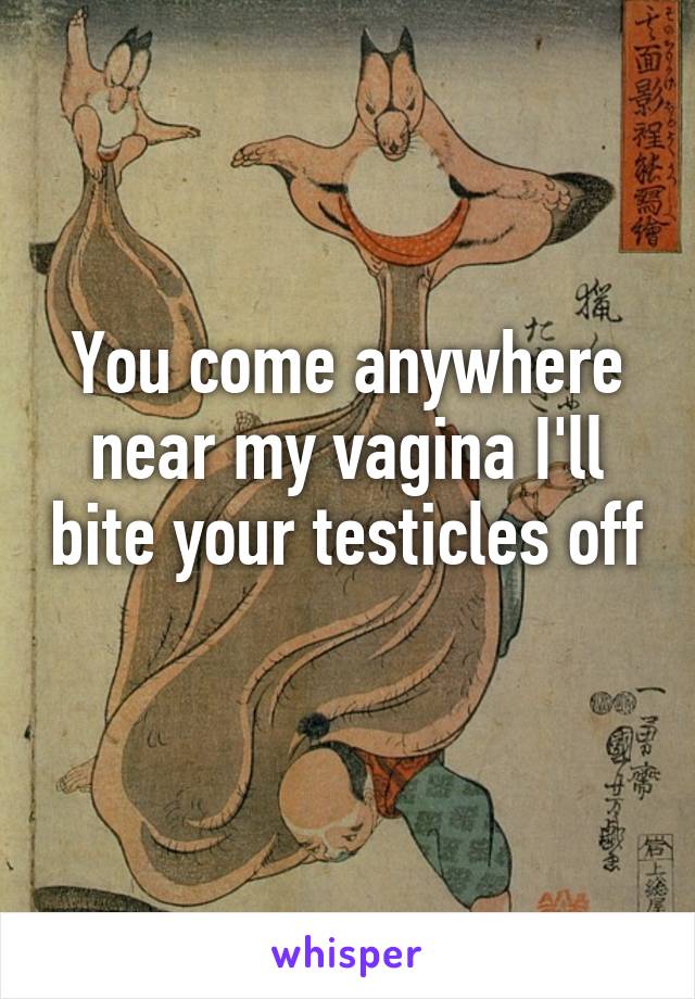 You come anywhere near my vagina I'll bite your testicles off 