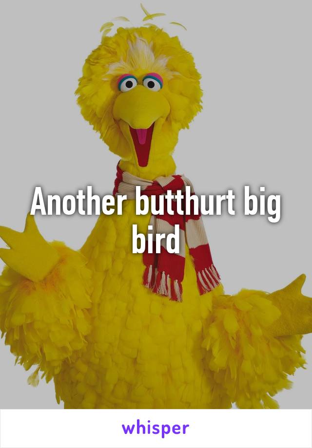 Another butthurt big bird