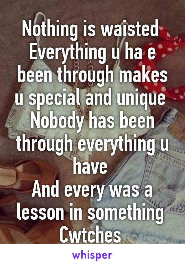Nothing is waisted 
Everything u ha e been through makes u special and unique 
Nobody has been through everything u have 
And every was a lesson in something 
Cwtches 