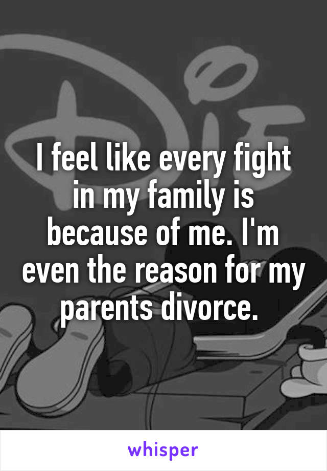 I feel like every fight in my family is because of me. I'm even the reason for my parents divorce. 
