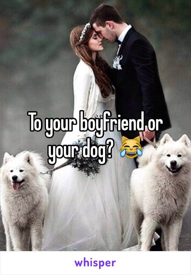 To your boyfriend or
your dog? 😹