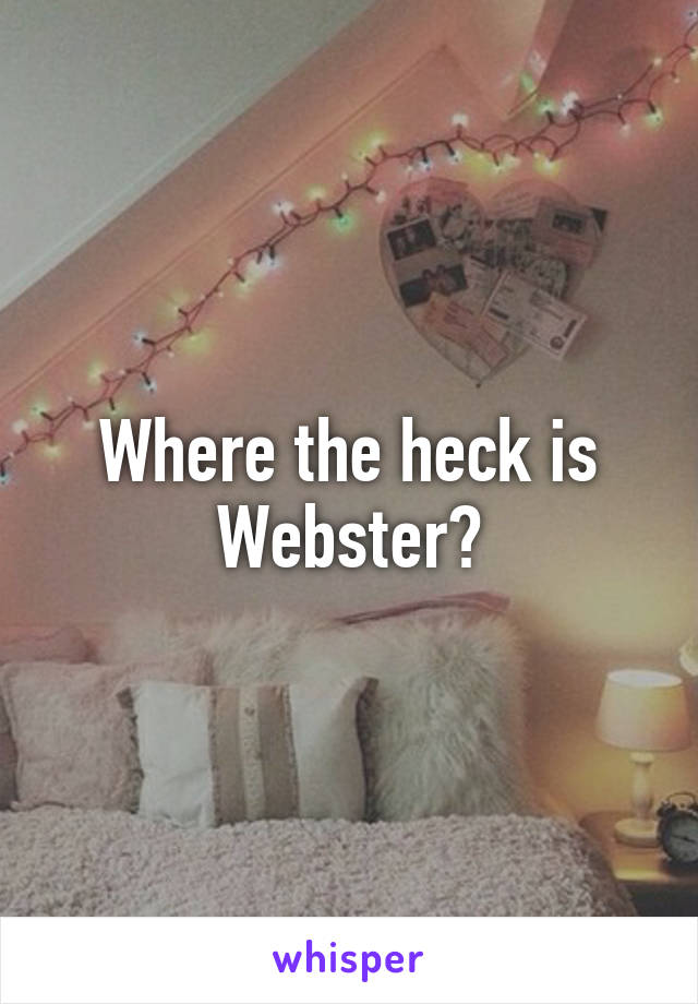 Where the heck is Webster?