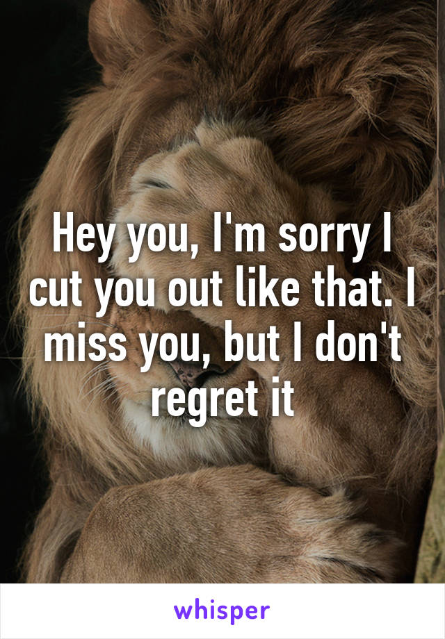 Hey you, I'm sorry I cut you out like that. I miss you, but I don't regret it
