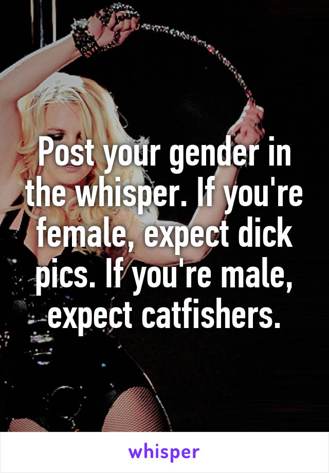 Post your gender in the whisper. If you're female, expect dick pics. If you're male, expect catfishers.
