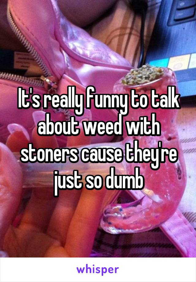 It's really funny to talk about weed with stoners cause they're just so dumb