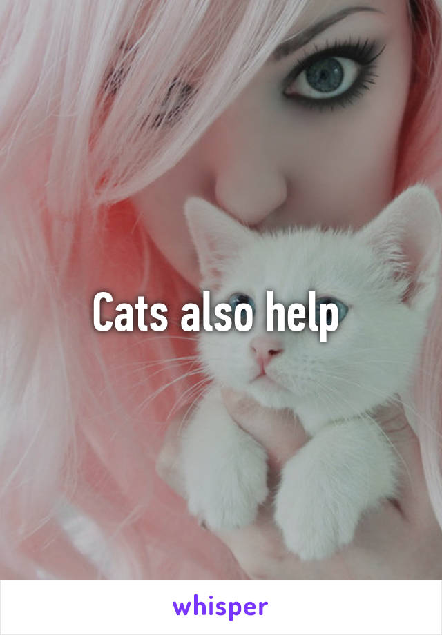 Cats also help 