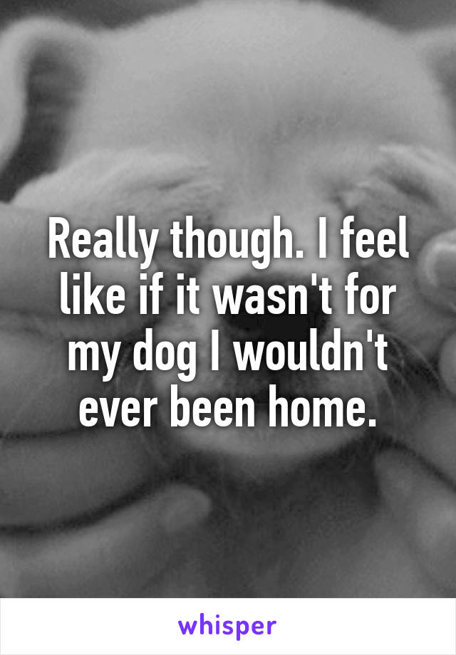Really though. I feel like if it wasn't for my dog I wouldn't ever been home.