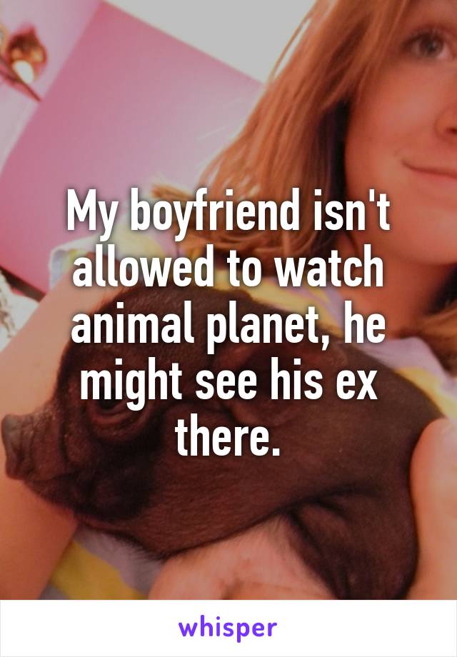 My boyfriend isn't allowed to watch animal planet, he might see his ex there.