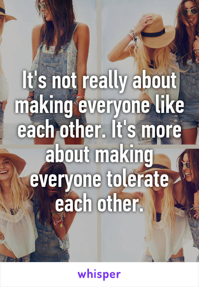 It's not really about making everyone like each other. It's more about making everyone tolerate each other.