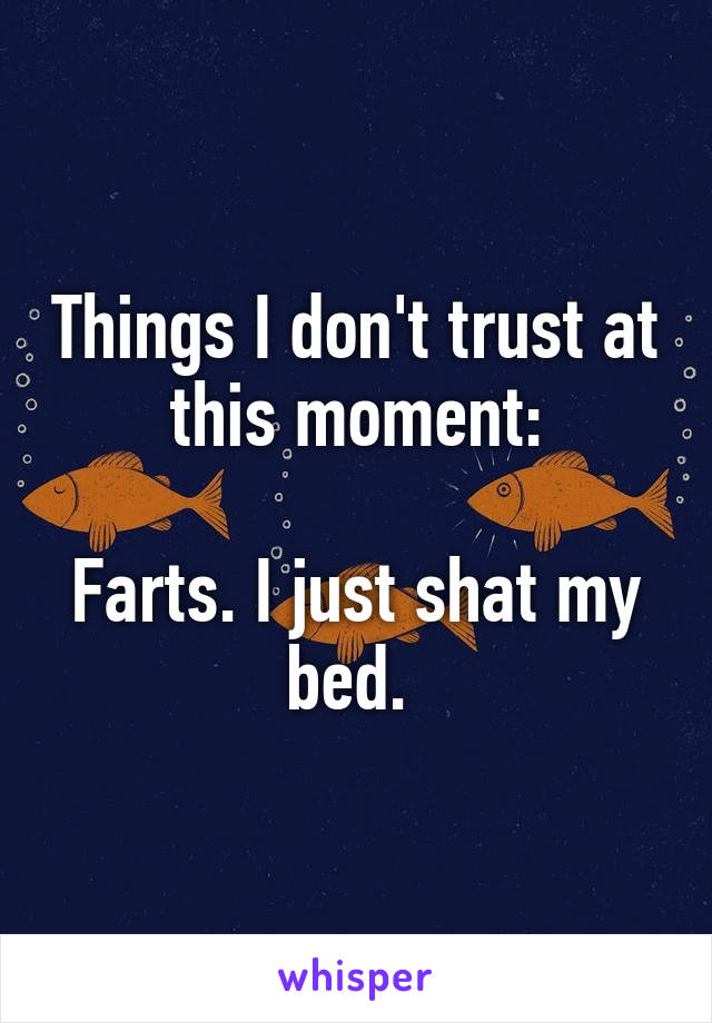 Things I don't trust at this moment:

Farts. I just shat my bed. 