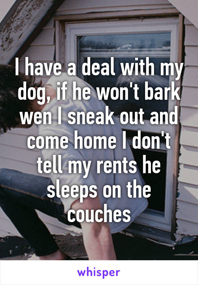 I have a deal with my dog, if he won't bark wen I sneak out and come home I don't tell my rents he sleeps on the couches