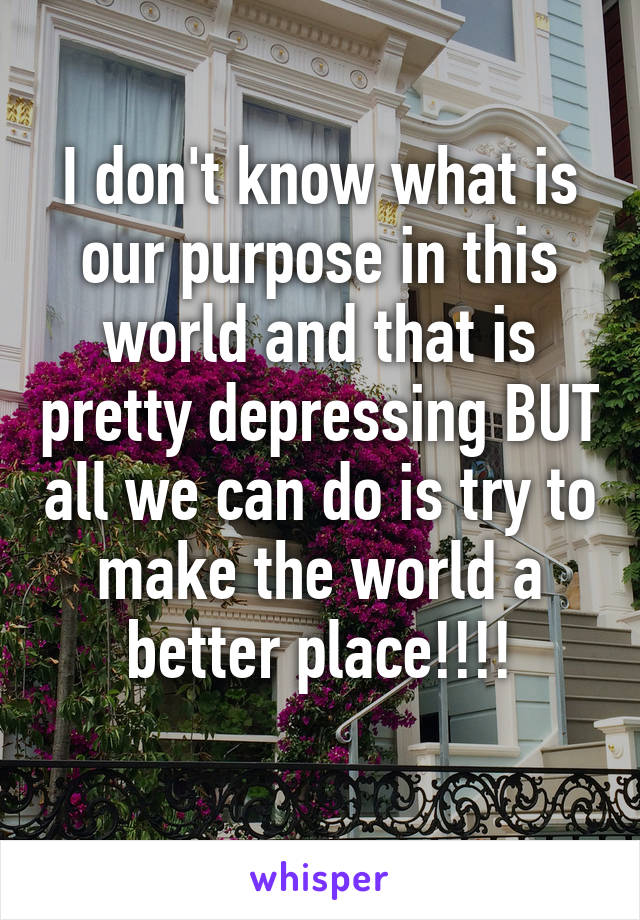 I don't know what is our purpose in this world and that is pretty depressing BUT all we can do is try to make the world a better place!!!!
