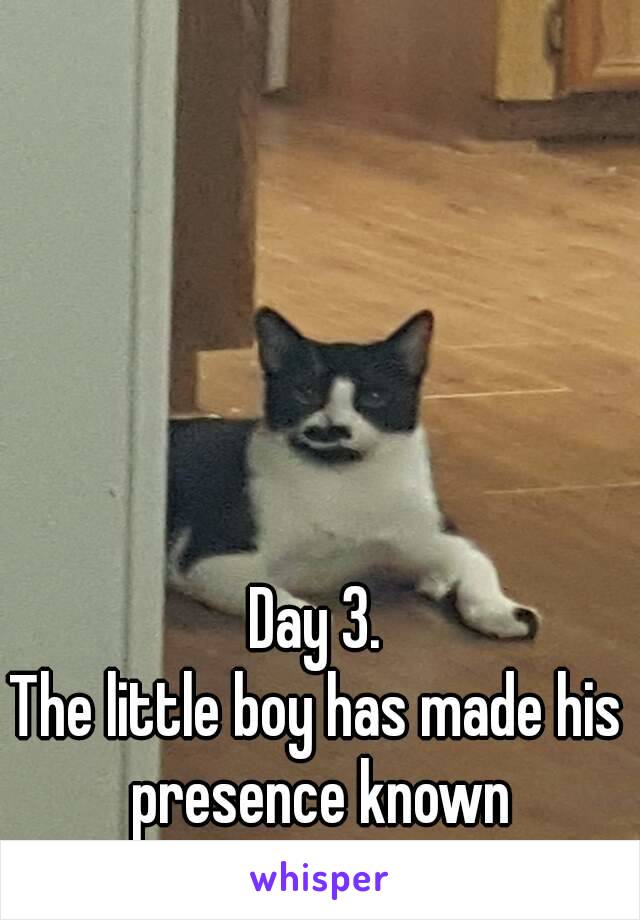 Day 3.
The little boy has made his presence known