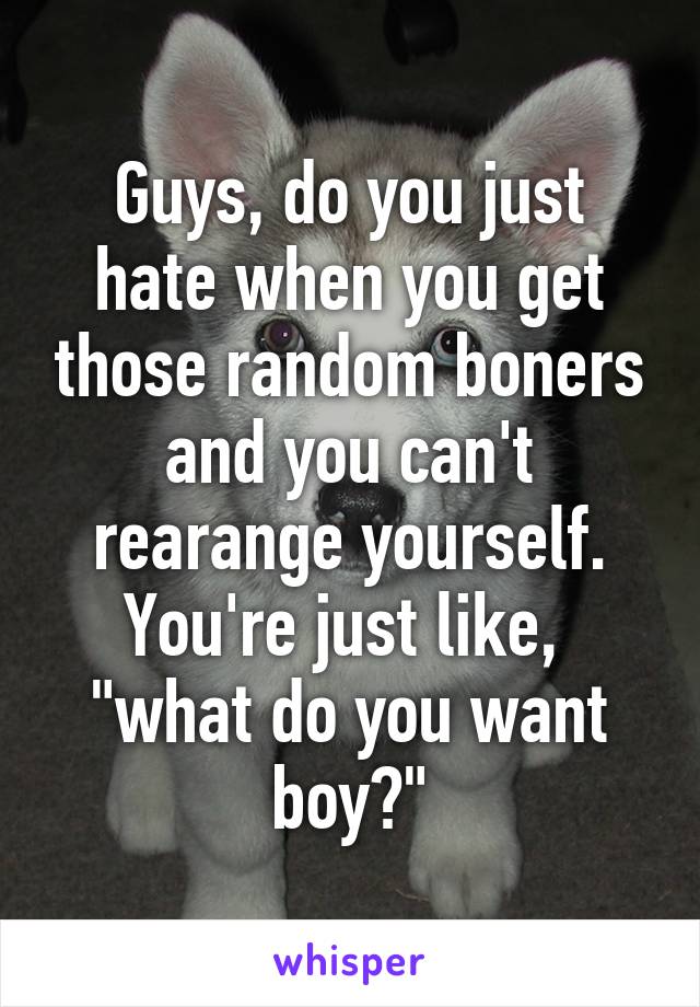 Guys, do you just hate when you get those random boners and you can't rearange yourself. You're just like, 
"what do you want boy?"
