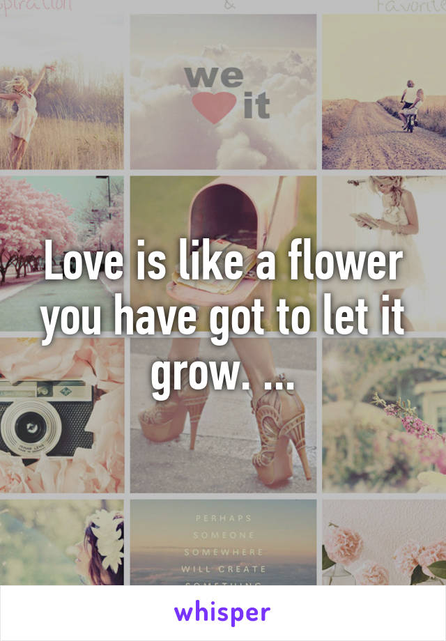 Love is like a flower you have got to let it grow. ...