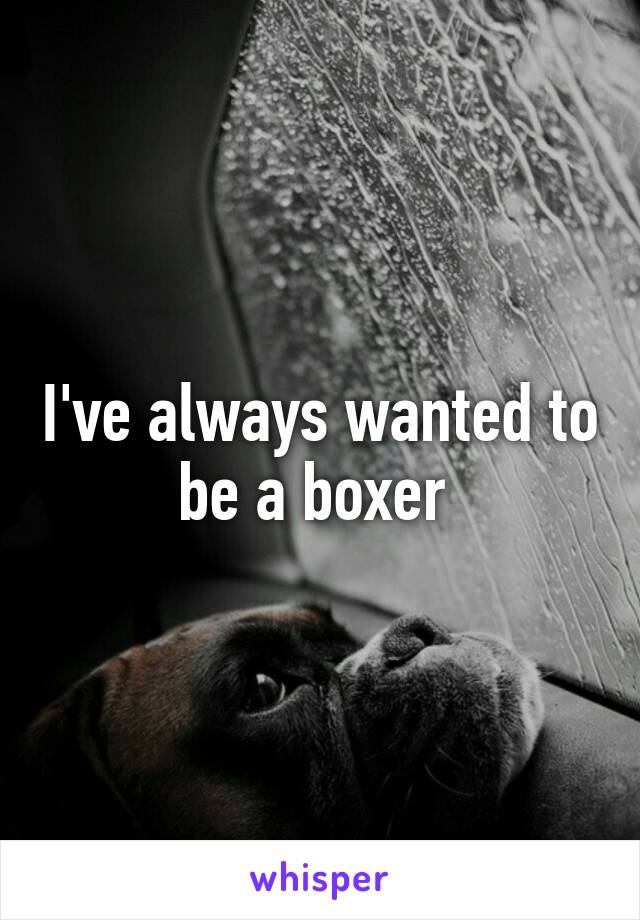I've always wanted to be a boxer 