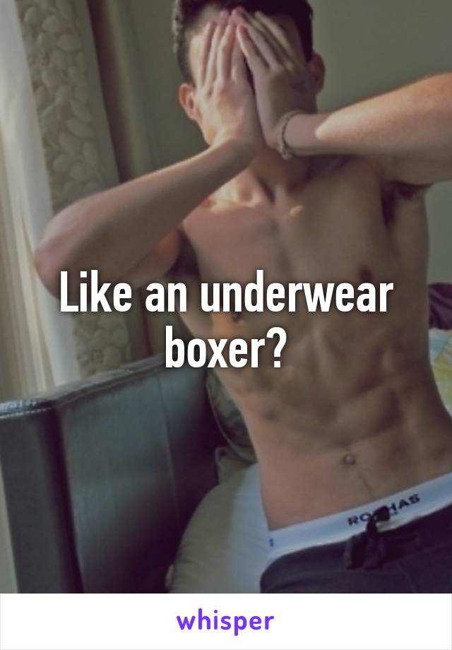 Like an underwear boxer?