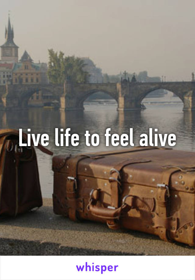 Live life to feel alive
