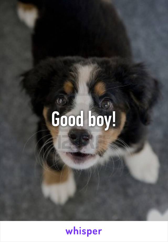 Good boy!