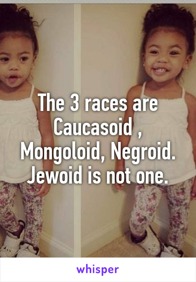 The 3 races are Caucasoid , Mongoloid, Negroid. Jewoid is not one.