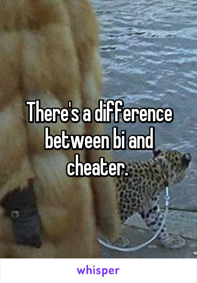 There's a difference between bi and cheater. 