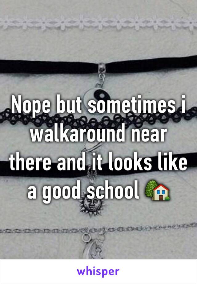 Nope but sometimes i walkaround near there and it looks like a good school 🏡