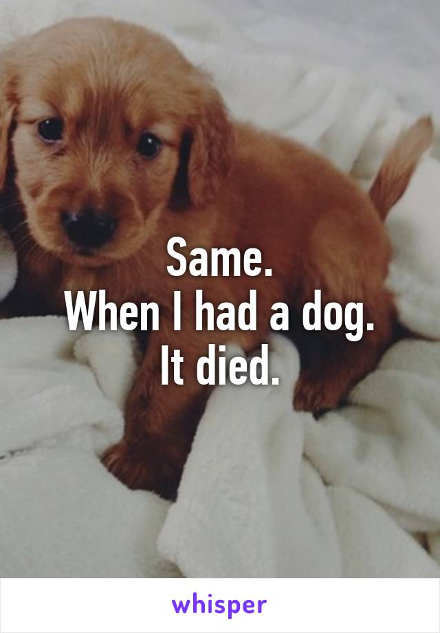 Same.
When I had a dog.
It died.