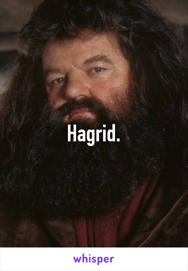 Hagrid.