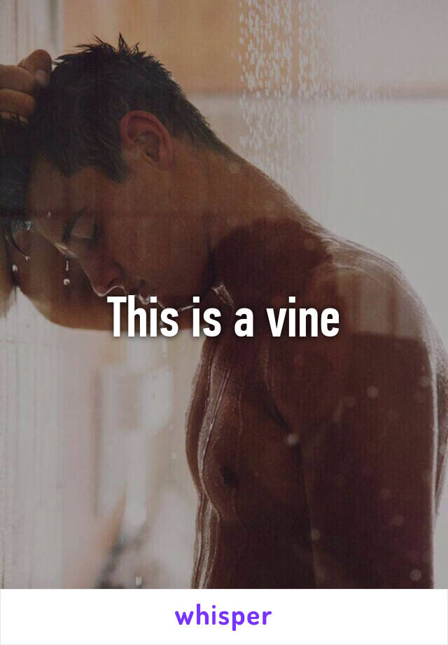 This is a vine