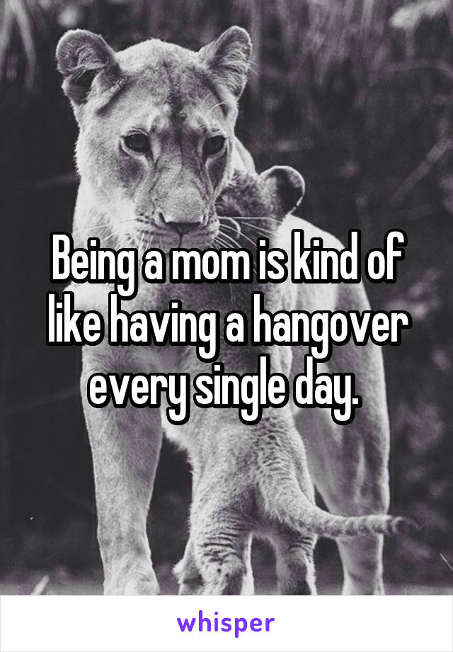 Being a mom is kind of like having a hangover every single day. 