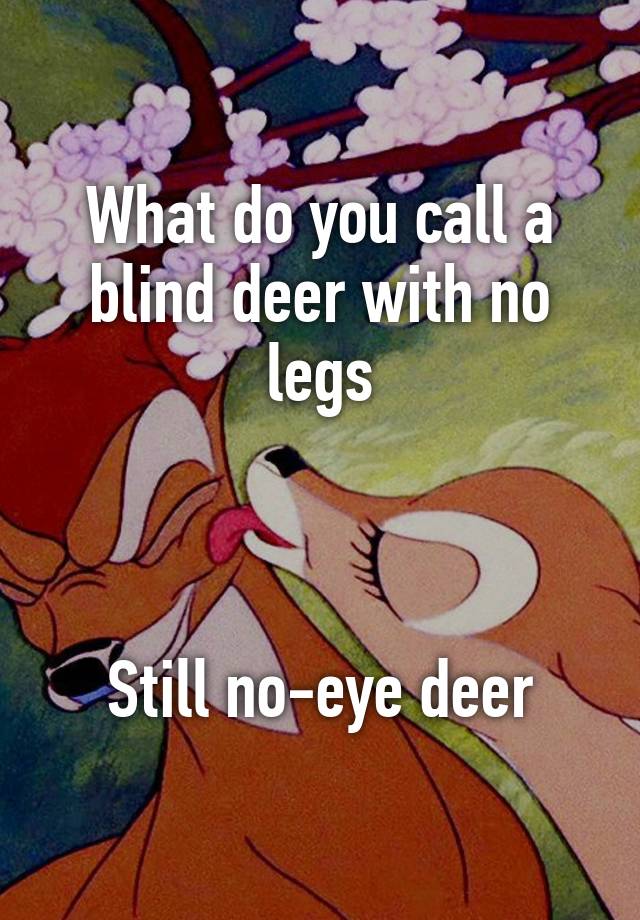 what-do-you-call-a-blind-deer-with-no-legs-still-no-eye-deer