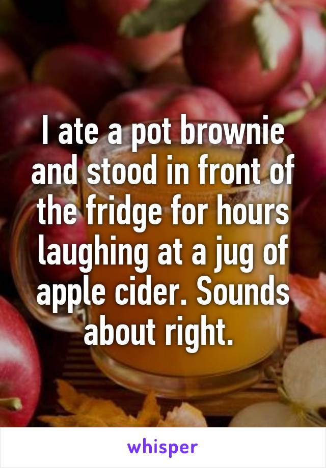 I ate a pot brownie and stood in front of the fridge for hours laughing at a jug of apple cider. Sounds about right. 