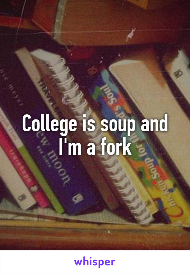 College is soup and I'm a fork