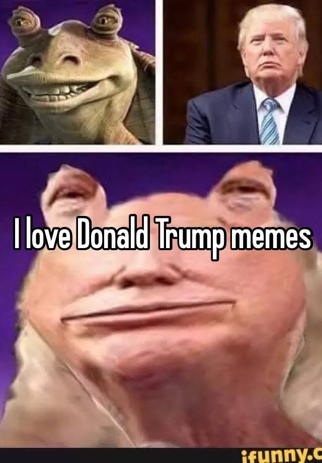 I love Donald Trump memes