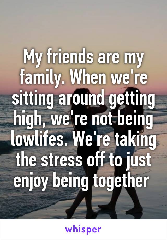 My friends are my family. When we're sitting around getting high, we're not being lowlifes. We're taking the stress off to just enjoy being together 