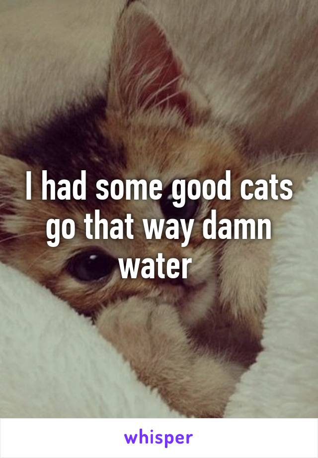 I had some good cats go that way damn water 