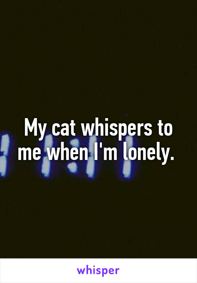 My cat whispers to me when I'm lonely. 