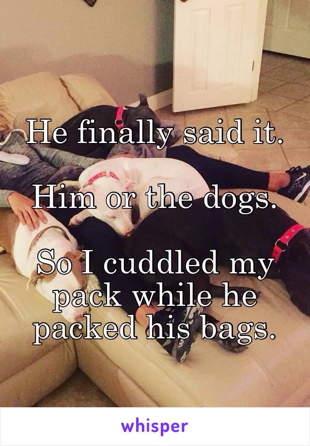 He finally said it.

Him or the dogs.

So I cuddled my pack while he packed his bags. 