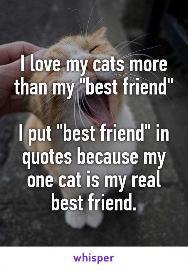 I love my cats more than my "best friend"

I put "best friend" in quotes because my one cat is my real best friend.