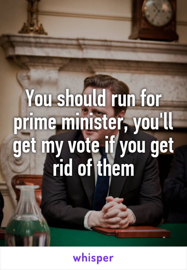 You should run for prime minister, you'll get my vote if you get rid of them