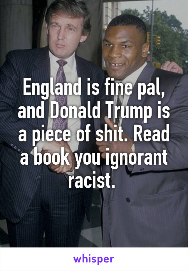 England is fine pal, and Donald Trump is a piece of shit. Read a book you ignorant racist. 