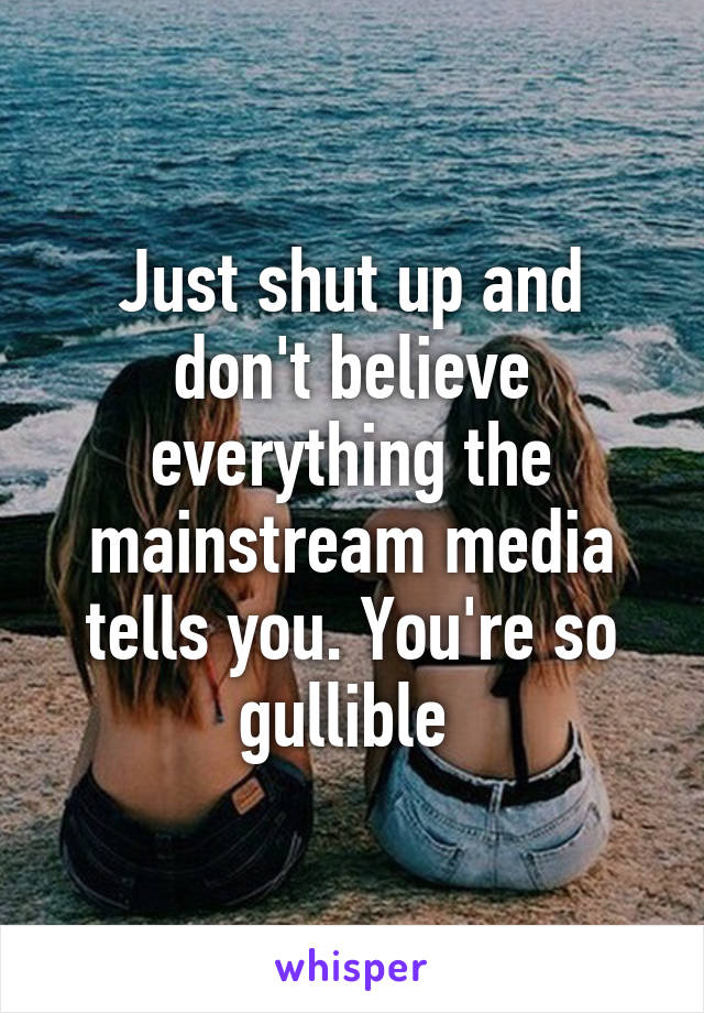 Just shut up and don't believe everything the mainstream media tells you. You're so gullible 