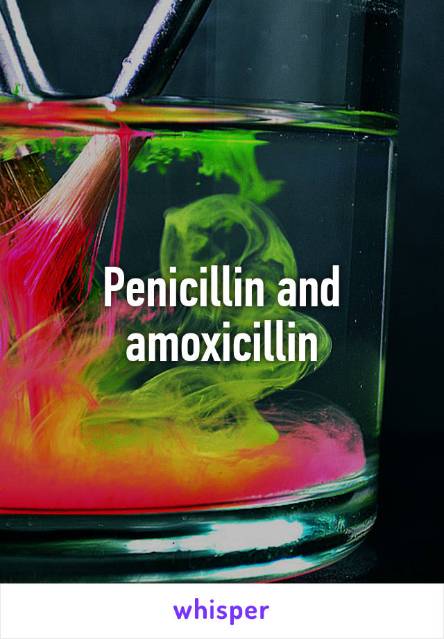 Penicillin and amoxicillin