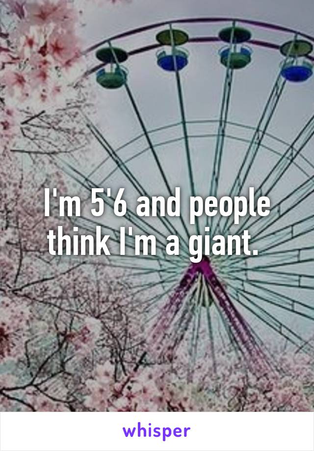 I'm 5'6 and people think I'm a giant. 