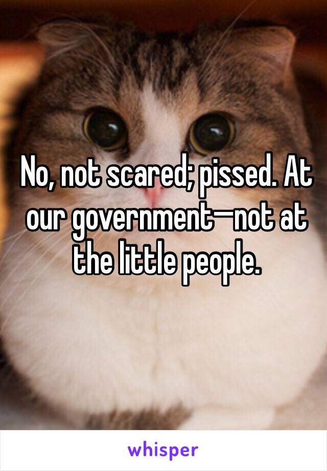 No, not scared; pissed. At our government—not at the little people. 
