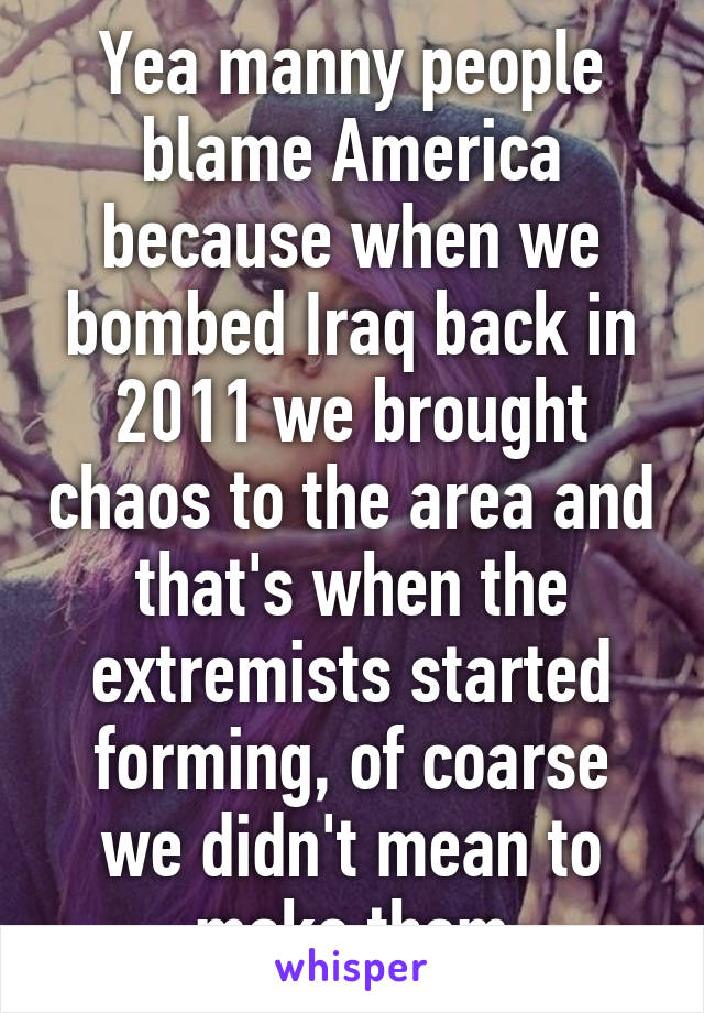 Yea manny people blame America because when we bombed Iraq back in 2011 we brought chaos to the area and that's when the extremists started forming, of coarse we didn't mean to make them