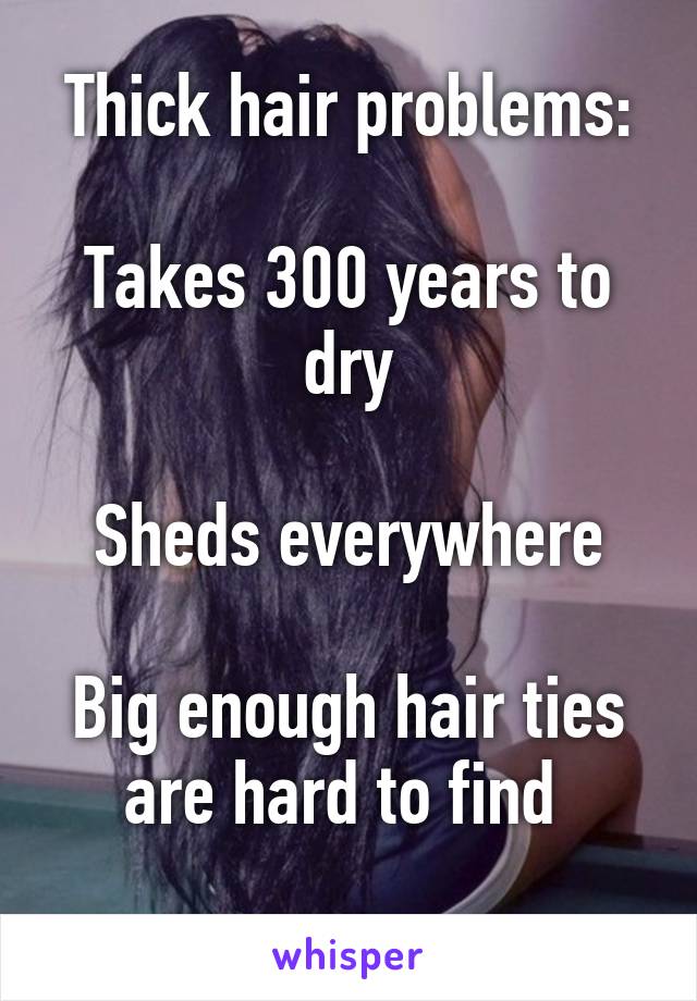 Thick hair problems:

Takes 300 years to dry

Sheds everywhere

Big enough hair ties are hard to find 
