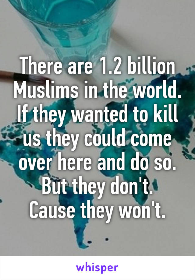 There are 1.2 billion Muslims in the world. If they wanted to kill us they could come over here and do so. But they don't.
Cause they won't.